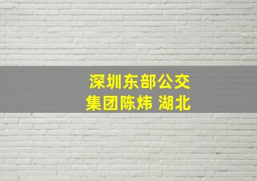 深圳东部公交集团陈炜 湖北